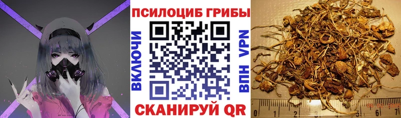 Псилоцибиновые грибы прущие грибы  Купить  Железноводск 